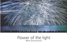 Flower of the light