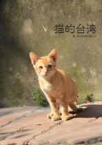 猫的台湾