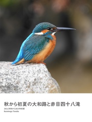 秋から初夏の大和路と赤目四十八滝