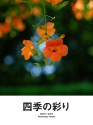 四季の彩り