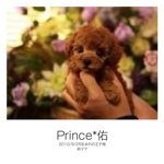 Prince*佑