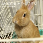 MOCCHI MEMORIES