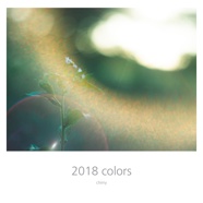 2018 colors