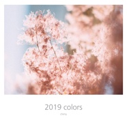 2019 colors
