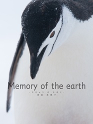 Memory of the earth