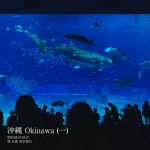 沖縄 Okinawa (一)