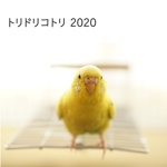 トリドリコトリ 2020