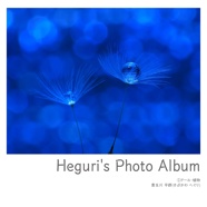 Heguri's Photo Album