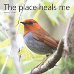 The place heals me