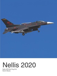 Nellis 2020