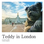 Teddy in London 