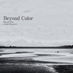 Beyond Color