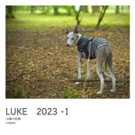 LUKE　2023 -1