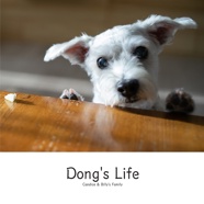 Dong's Life