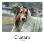 Chataro