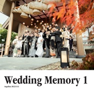 Wedding Memory 1