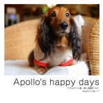 Apollo's happy days