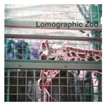 Lomographic Zoo