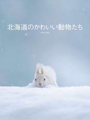 北海道のかわいい動物たち
