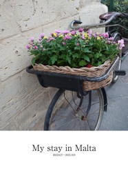My stay in Malta