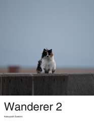 Wanderer 2
