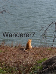 Wanderer7