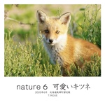  nature 6  可愛いキツネ