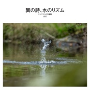 翼の詩、水のリズム
