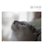 猫の時間