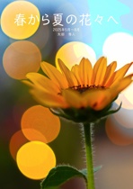 春から夏の花々へ