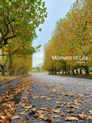 Moment of Life