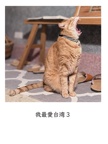 我最愛台湾３