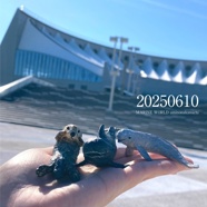 20250610