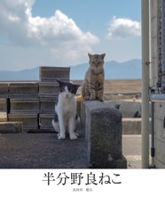 半分野良ねこ