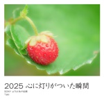 2025 心に灯りがついた瞬間