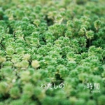 わたしの「　　」時間