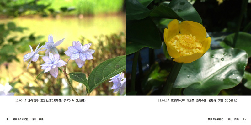 フォトブック 16ページ目