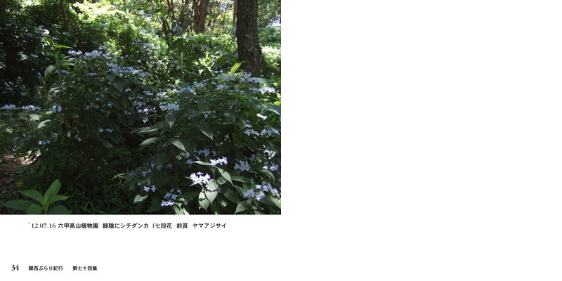 フォトブック 34ページ目