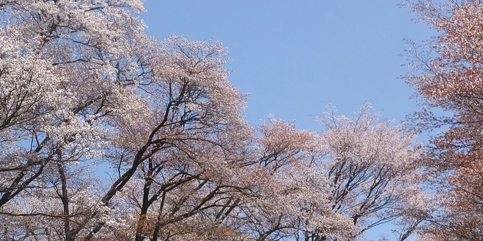 フォトブック 22ページ目