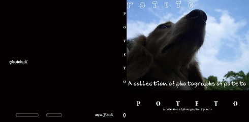 フォトブック ジャケット