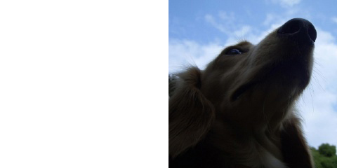 フォトブック 2ページ目
