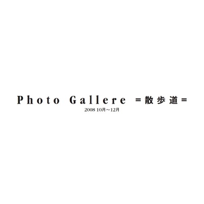 フォトブック 扉