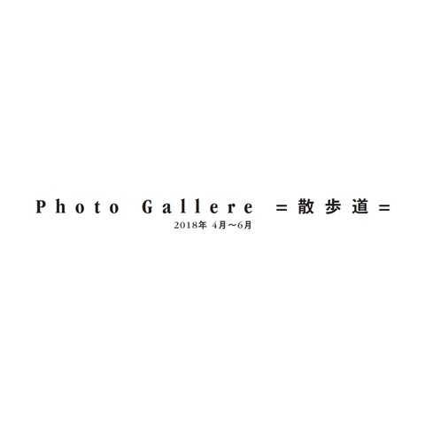 フォトブック 扉