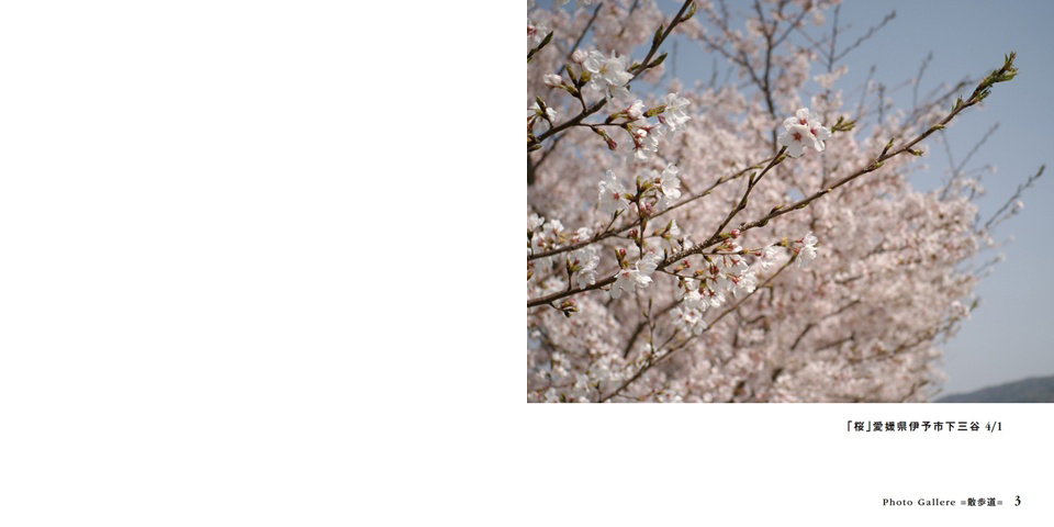 フォトブック 2ページ目