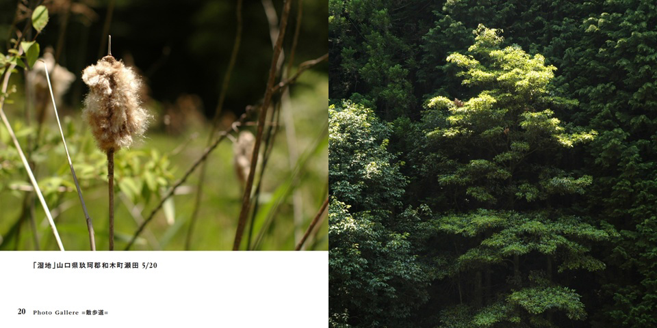 フォトブック 20ページ目