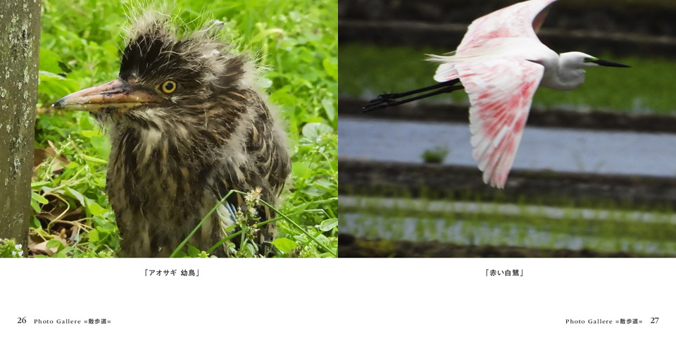 フォトブック 26ページ目