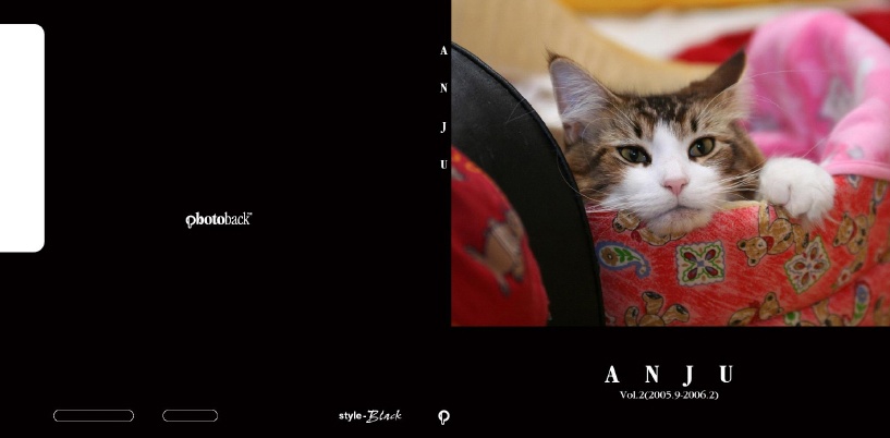 フォトブック ジャケット