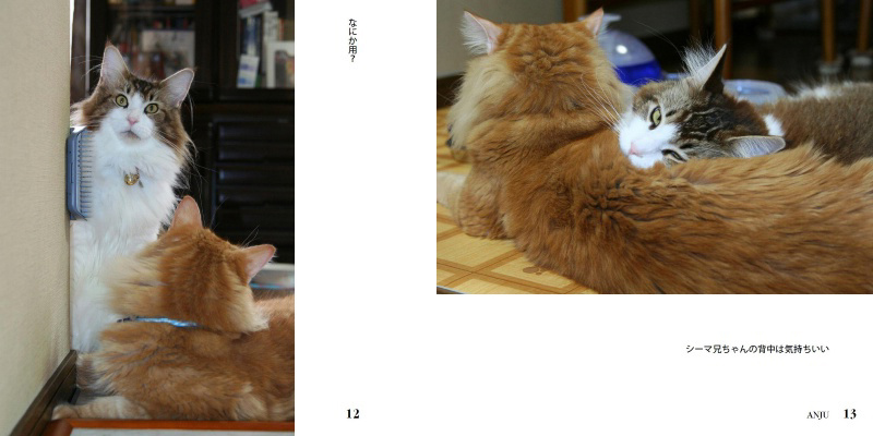 フォトブック 12ページ目