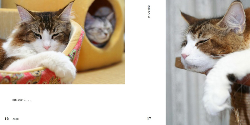 フォトブック 16ページ目