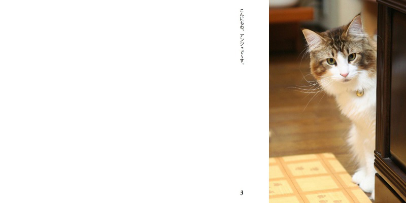 フォトブック 2ページ目